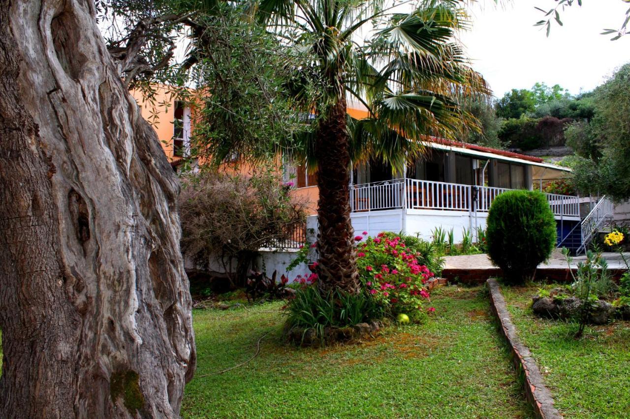 Tina Hotel Dassia  Bagian luar foto