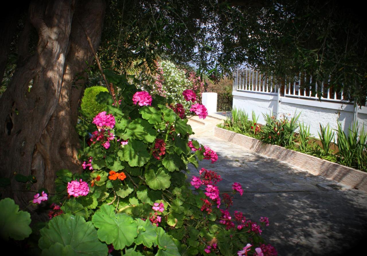 Tina Hotel Dassia  Bagian luar foto